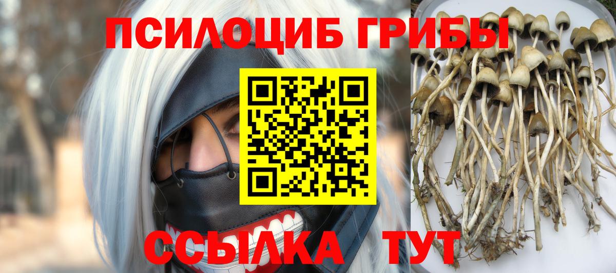 где найти   Псилоцибиновые грибы мицелий  Мариинск  Вход с VPN  Псилоцибиновые грибы GOLDEN TEACHER 